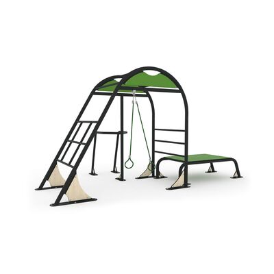 Calisthenics Station